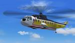 FS2002/FS2004
                  Sikorsky S-61N Brunei Shell One